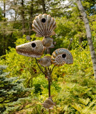 seashell birdhouse for multiple birds