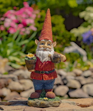 Spring garden gnome holding flower pot and water can