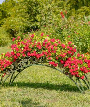 This hand-painted metal plant stand showcases a graceful arched, bridge-inspired design, adorned with delicate iron flower accents. With five round planters perched atop, it offers the perfect space to display your favorite plants and bring a touch of whimsy and elegance to your greenery.